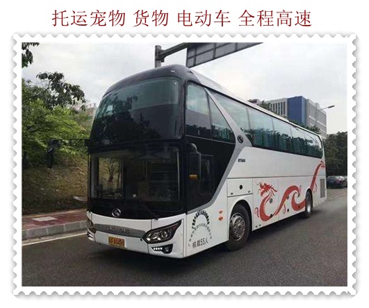 欢迎您登上我们的广州到叙永大巴汽车时刻表豪华大巴车!