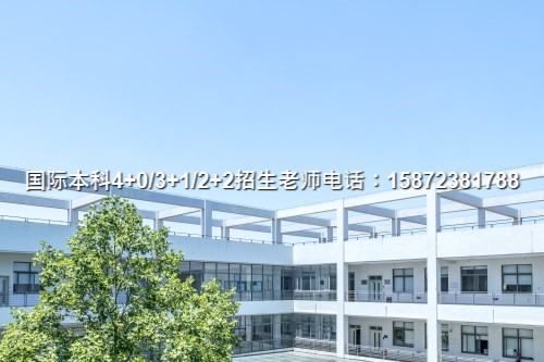 (2024)武汉理工合作办学4 0招生人气榜单推荐